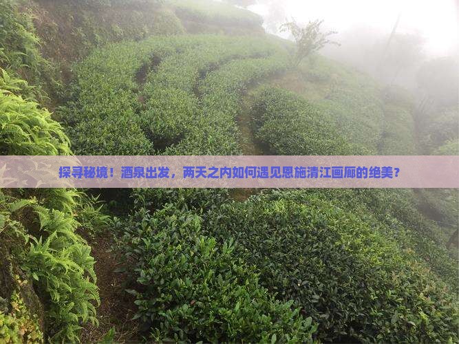 探寻秘境！酒泉出发，两天之内如何遇见恩施清江画廊的绝美？