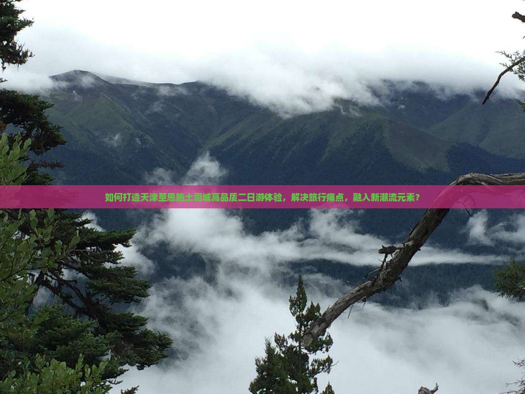 如何打造天津至恩施土司城高品质二日游体验，解决旅行痛点，融入新潮流元素？