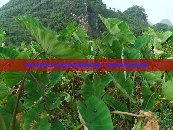 郴州至恩施清江画廊深度游路线攻略：景点详解与旅游指南