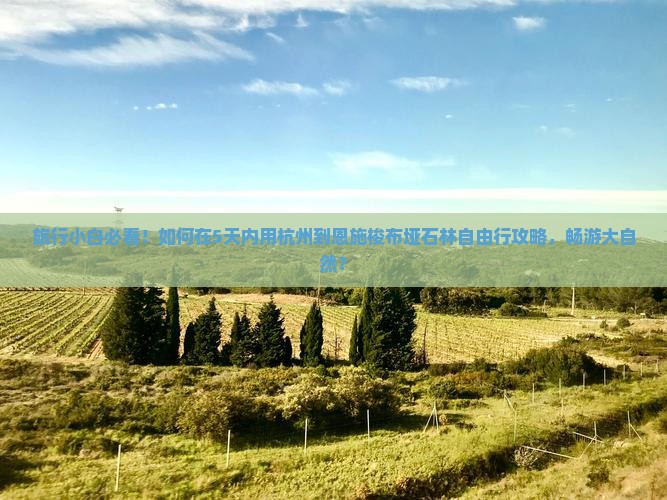 旅行小白必看！如何在5天内用杭州到恩施梭布垭石林自由行攻略，畅游大自然？
