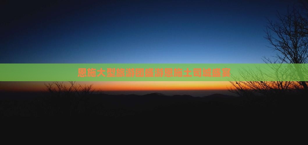 恩施大型旅游团盛游恩施土司城盛宴
