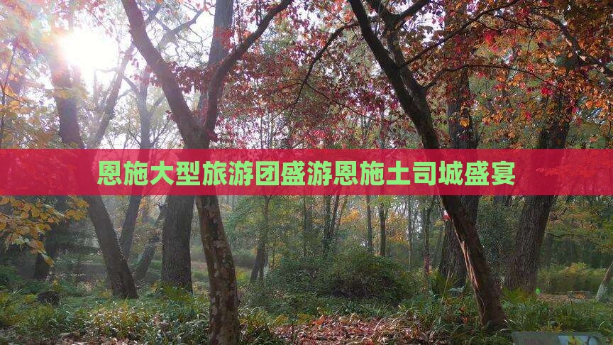 恩施大型旅游团盛游恩施土司城盛宴