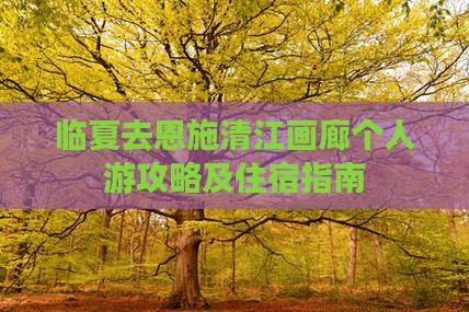 临夏去恩施清江画廊个人游攻略及住宿指南