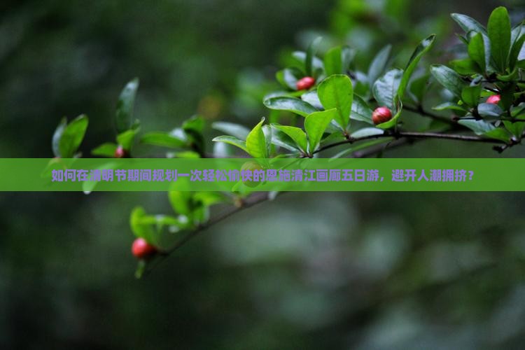 如何在清明节期间规划一次轻松愉快的恩施清江画廊五日游，避开人潮拥挤？