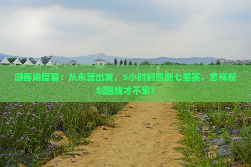 游客角度看：从东营出发，5小时到恩施七星寨，怎样规划路线才不累？