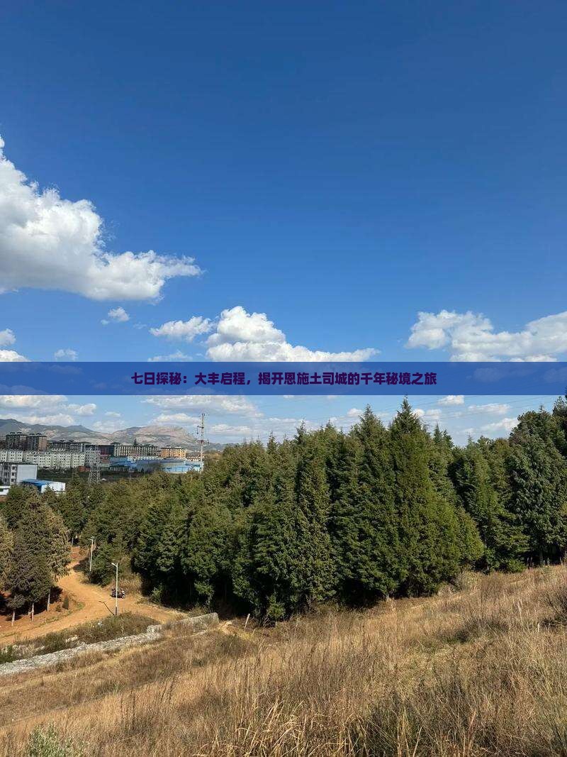七日探秘：大丰启程，揭开恩施土司城的千年秘境之旅