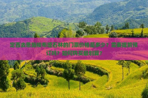 定西去恩施梭布垭石林的门票价格是多少？需要提前预订吗？如何购买最划算？