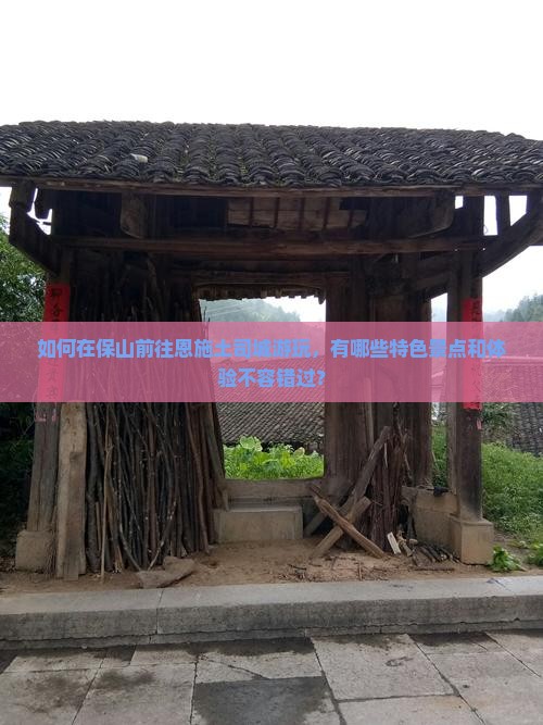 如何在保山前往恩施土司城游玩，有哪些特色景点和体验不容错过？