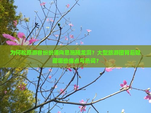 为何松原游客纷纷涌向恩施腾龙洞？大型旅游团背后隐藏哪些痛点与热词？