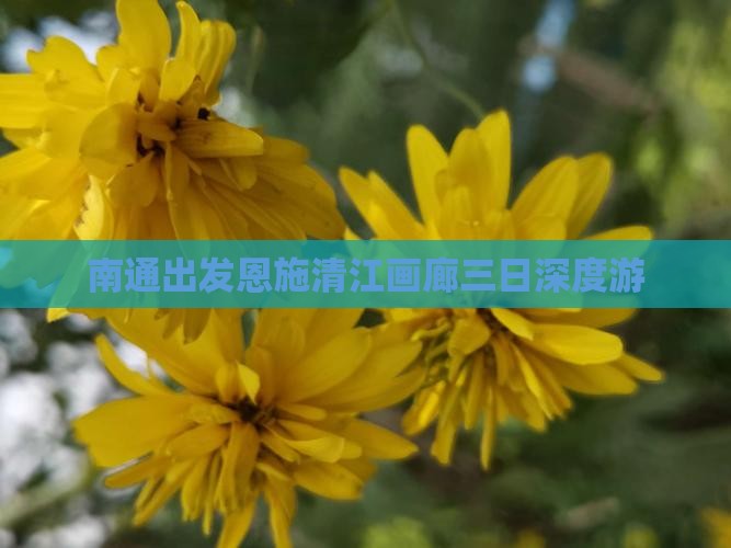 南通出发恩施清江画廊三日深度游