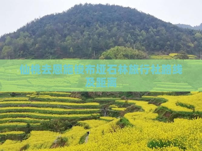 仙桃去恩施梭布垭石林旅行社路线及距离