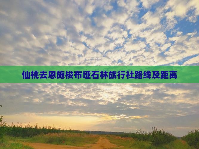 仙桃去恩施梭布垭石林旅行社路线及距离