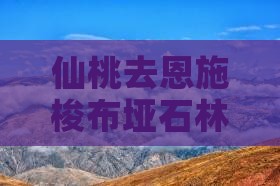 仙桃去恩施梭布垭石林旅行社路线及距离