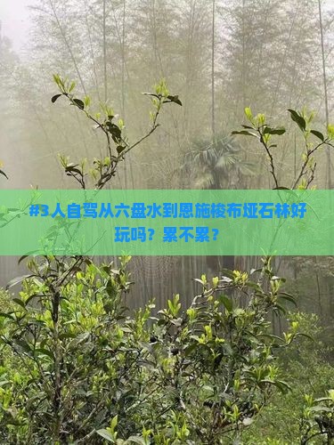 #3人自驾从六盘水到恩施梭布垭石林好玩吗？累不累？