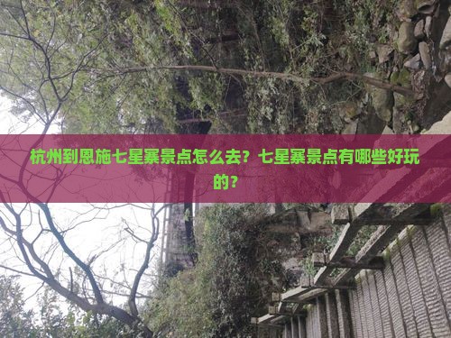 杭州到恩施七星寨景点怎么去？七星寨景点有哪些好玩的？