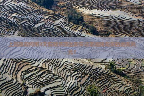 上班族如何用3天假期济源出发探访恩施腾龙洞的绝美风光？