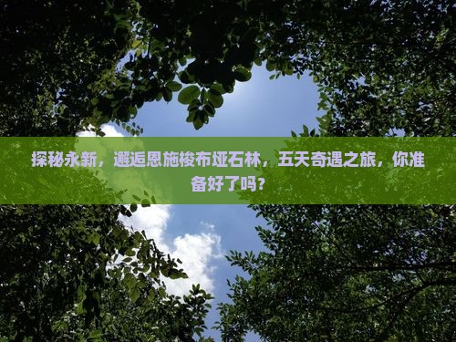 探秘永新，邂逅恩施梭布垭石林，五天奇遇之旅，你准备好了吗？