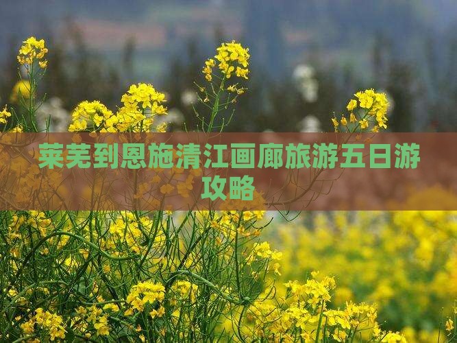 莱芜到恩施清江画廊旅游五日游攻略