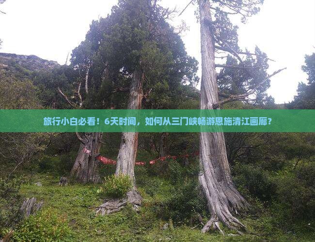 旅行小白必看！6天时间，如何从三门峡畅游恩施清江画廊？
