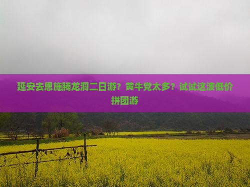 延安去恩施腾龙洞二日游？黄牛党太多？试试这波低价拼团游