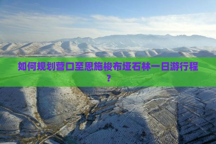 如何规划营口至恩施梭布垭石林一日游行程？