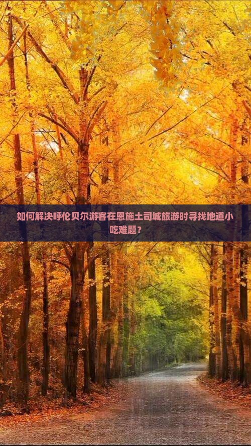 如何解决呼伦贝尔游客在恩施土司城旅游时寻找地道小吃难题？