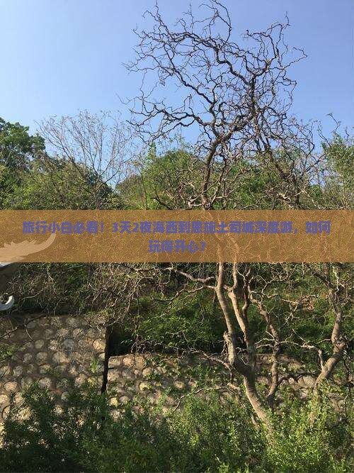 旅行小白必看！3天2夜海西到恩施土司城深度游，如何玩得开心？