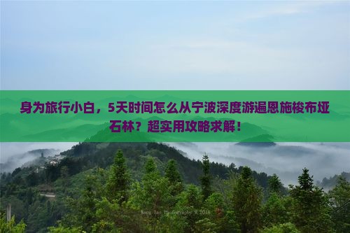 身为旅行小白，5天时间怎么从宁波深度游遍恩施梭布垭石林？超实用攻略求解！