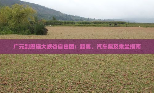 广元到恩施大峡谷自由团：距离、汽车票及乘坐指南
