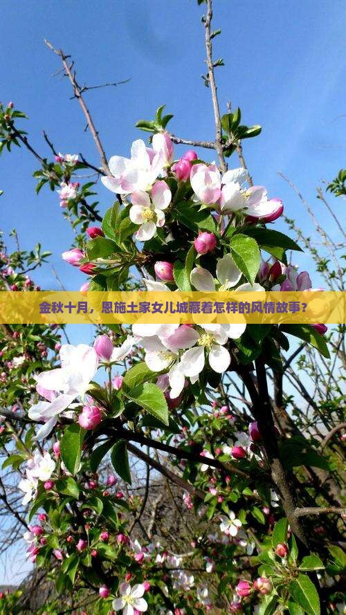 金秋十月，恩施土家女儿城藏着怎样的风情故事？