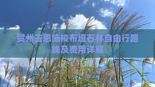 贺州去恩施梭布垭石林自由行路线及费用详解