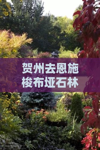 贺州去恩施梭布垭石林自由行路线及费用详解