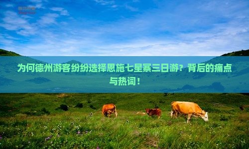 为何德州游客纷纷选择恩施七星寨三日游？背后的痛点与热词！