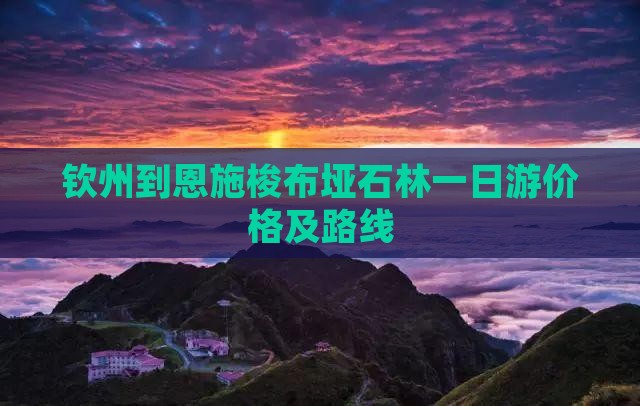 钦州到恩施梭布垭石林一日游价格及路线