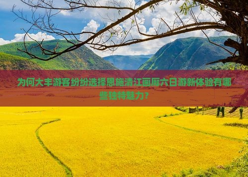 为何大丰游客纷纷选择恩施清江画廊六日游新体验有哪些独特魅力？