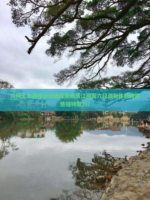 为何大丰游客纷纷选择恩施清江画廊六日游新体验有哪些独特魅力？