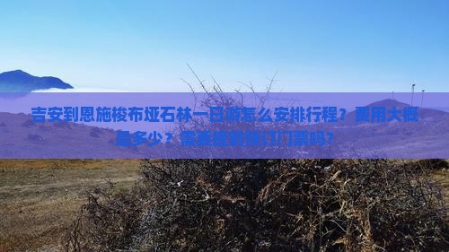 吉安到恩施梭布垭石林一日游怎么安排行程？费用大概是多少？需要提前预订门票吗？