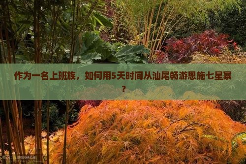 作为一名上班族，如何用5天时间从汕尾畅游恩施七星寨？