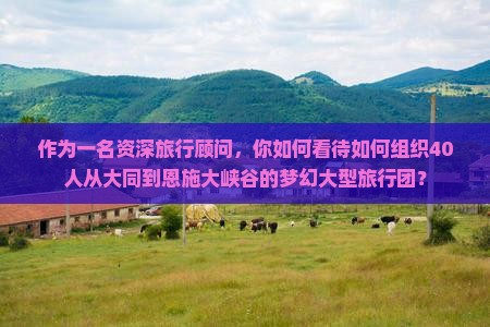 作为一名资深旅行顾问，你如何看待如何组织40人从大同到恩施大峡谷的梦幻大型旅行团？