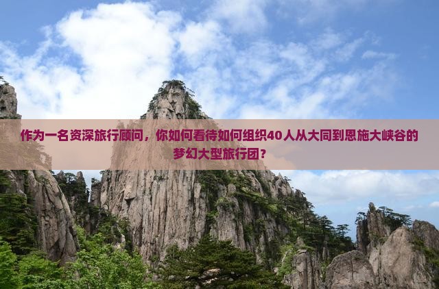 作为一名资深旅行顾问，你如何看待如何组织40人从大同到恩施大峡谷的梦幻大型旅行团？