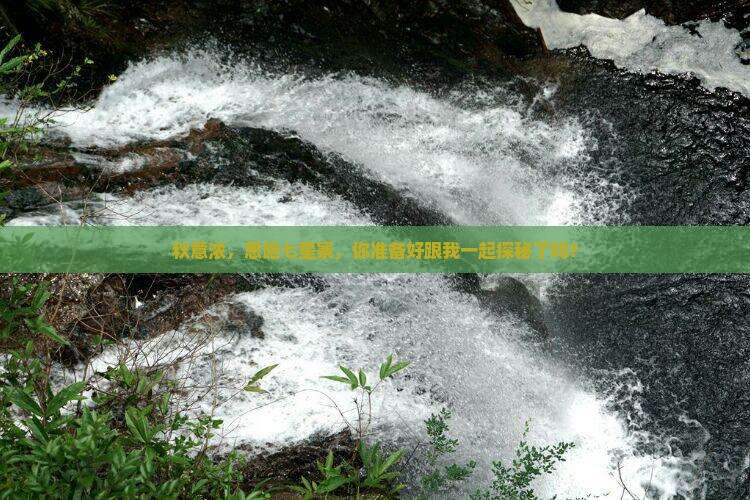 秋意浓，恩施七星寨，你准备好跟我一起探秘了吗？