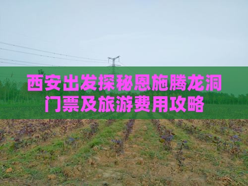西安出发探秘恩施腾龙洞门票及旅游费用攻略
