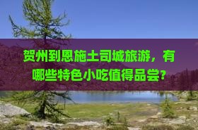 贺州到恩施土司城旅游，有哪些特色小吃值得品尝？