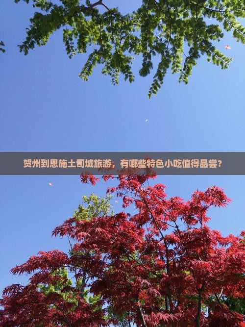 贺州到恩施土司城旅游，有哪些特色小吃值得品尝？