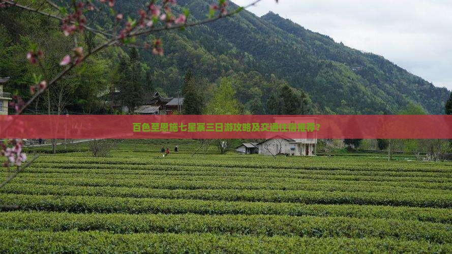 百色至恩施七星寨三日游攻略及交通住宿推荐？
