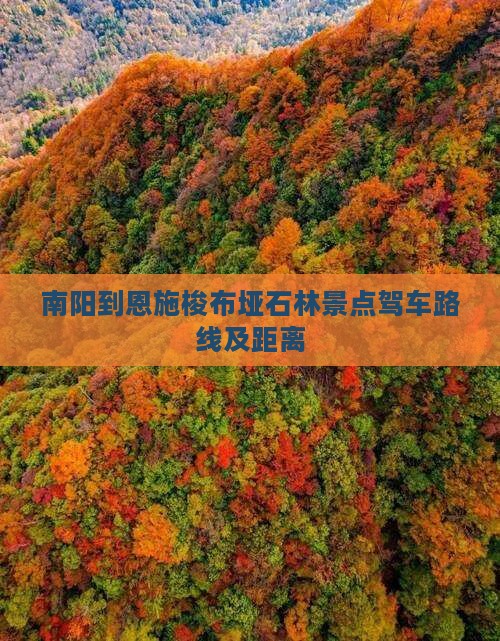 南阳到恩施梭布垭石林景点驾车路线及距离