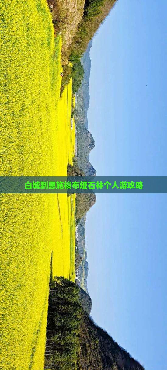 白城到恩施梭布垭石林个人游攻略
