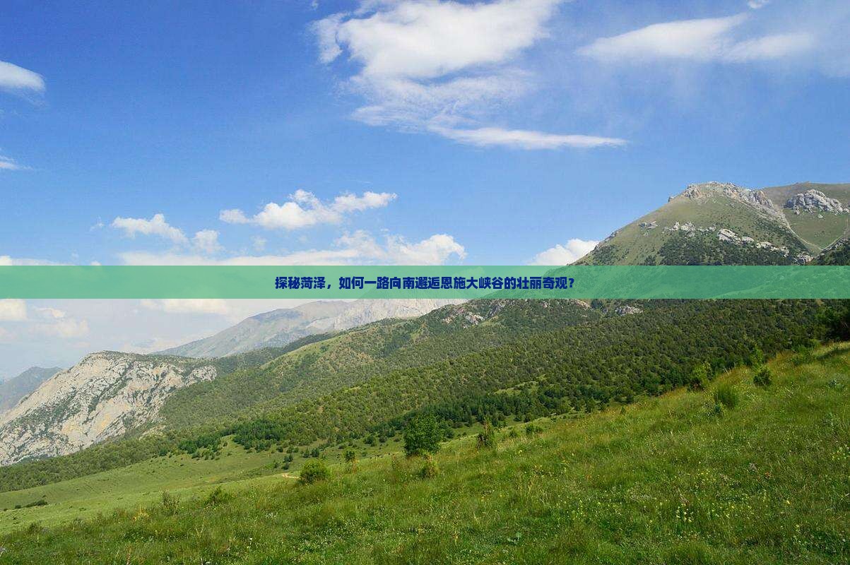 探秘菏泽，如何一路向南邂逅恩施大峡谷的壮丽奇观？