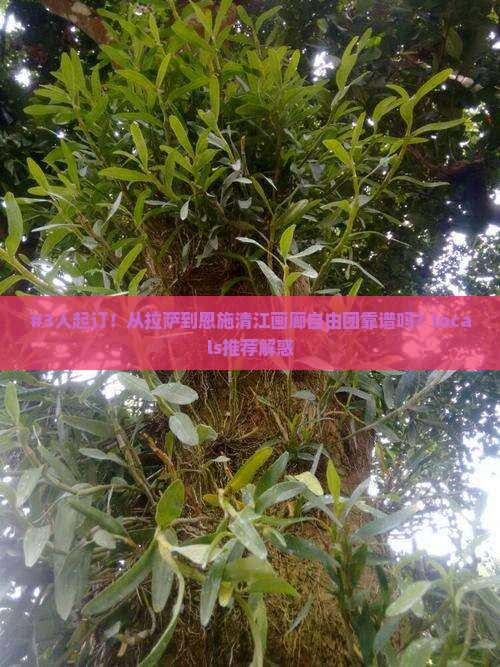 #3人起订！从拉萨到恩施清江画廊自由团靠谱吗？locals推荐解惑