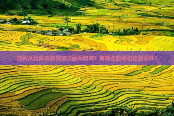 如何从抚顺去恩施清江画廊旅游？有哪些路线和注意事项？